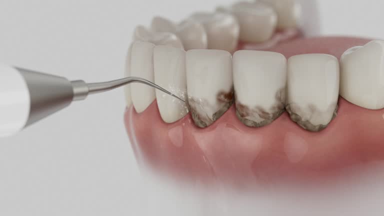 Reliable Dental contractor in Harvey, LA by Dentist Open Now